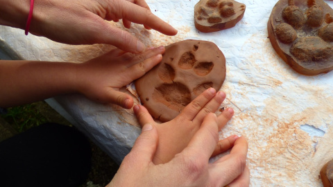 Actividad huellas de lobo Actividad huellas de lobo