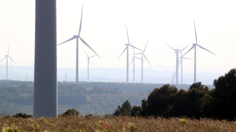 Pla general d'alguns dels aerogeneradors en funcionament a l'altiplà de la Terra Alta, entre la Fatarella i Vilalba dels Arcs