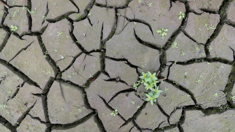 Bajo nivel de agua en el embalse de Belesar (Lugo).