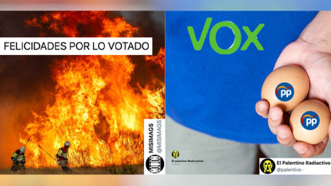 Memes tras las elecciones de Castilla y León.