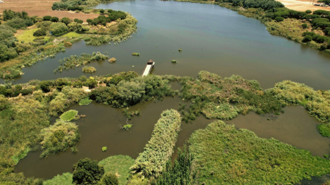 La Laguna Primera de Palos es uno de los proyectos de protección y conservación más destacados de la Fundación Moeve