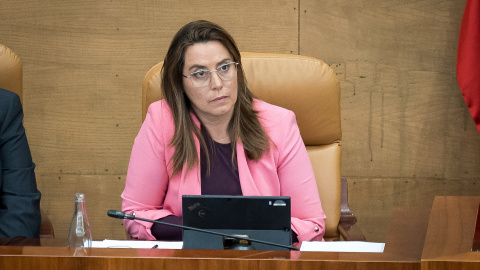La exalcaldesa de Arroyomolinos y vicesecretaria de Organización del PP de Madrid, Ana Millán, en la Asamblea de Madrid.
