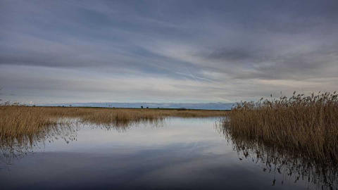 Inundación histórica en las Tablas de Daimiel: el parque alcanza su máximo con 1.5000 hectáreas encharcadas