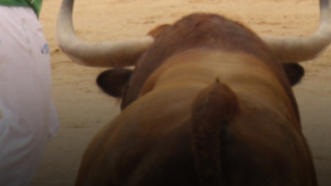 ¿La tauromaquia se sostiene con dinero público?
En una investigación realizada por PACMA en el año 2024, determinaron que entre 2020 y 2024 la Fundación Toro de Lidia recibió un total de 2.325.000 euros, provenientes del Estado, diputaciones provinciales y ayuntamientos.

En marzo de 2025, la Comunidad de Madrid aprobó una partida de 1,7 millones de euros para celebrar la Fiesta del Toro. Para dicho evento se firmó un convenio entre el Ejecutivo autonómico y la Fundación Toro de Lidia, receptora de la subvención.

Hace 18 años nacimos con un compromiso: hacer un periodismo útil para la sociedad. Solo podemos continuar con esta labor si contamos con el apoyo de personas como tú.

Únete a la comunidad de Público. 18 años no son nada… cuando nos queda tanto por contar. Periodismo incómodo para tiempos difíciles. https://bit.ly/3VylhmD


Periodismo, investigación y compromiso para construir un mundo más igualitario.
¡Suscríbete ya a nuestro canal!: https://bit.ly/2U8nM0q
Visita: https://www.publico.es
Síguenos en Facebook: https://www.facebook.com/diario.publico/
Síguenos en Twitter: https://twitter.com/publico_es
Síguenos en Instagram: https://www.instagram.com/publico.es
Síguenos en TikTok: https://www.tiktok.com/@publico_es
Síguenos en Bluesky: https://bsky.app/profile/publico.es