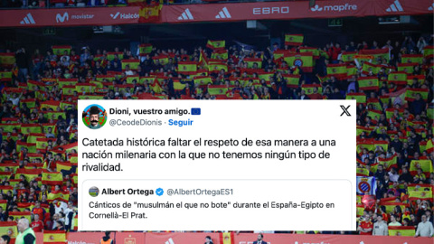 Aficionados españoles durante el partido amistoso entre España y Egipto.