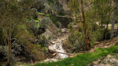 Imagen de la zona recreativa del río Corbones y del camino Arroyo Mujeres, afectadas seriamente por el temporal en febrero.