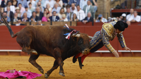 El torero Morante de la Puebla recibe una cornada durante la novena corrida de la Feria de Abril de Sevilla.