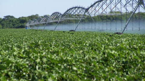 ¿Cómo salir de la bancarrota del agua?