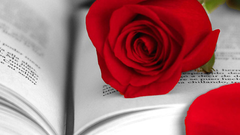 Sant Jordi 2026: Recomendaciones de poesía