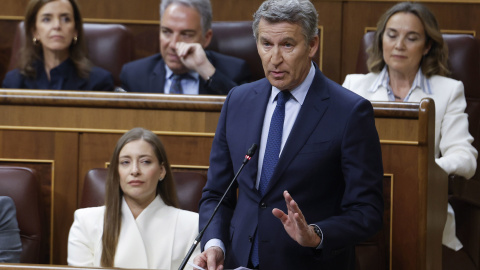 El líder del PP, Alberto Núñez Feijóo, interviene durante la sesión de control al Gobierno que se celebra este miércoles en el Congreso.