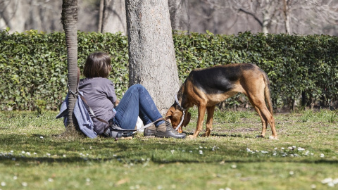 Cuando llega el buen tiempo debemos extremar la precaución a la hora de pasear a nuestro perro por el peligro de las orugas procesionarias.