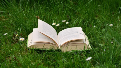 Tres recomendaciones de ‘Liternatura’ para celebrar el Día del Libro 