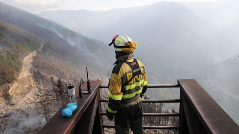 Un brigadista forestal observa el terreno calcinado en Lugo en 2025.