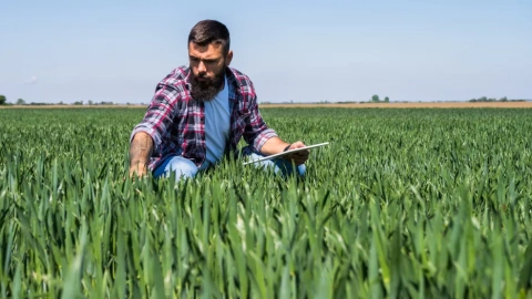 Un agricultor en su explotación agraria.