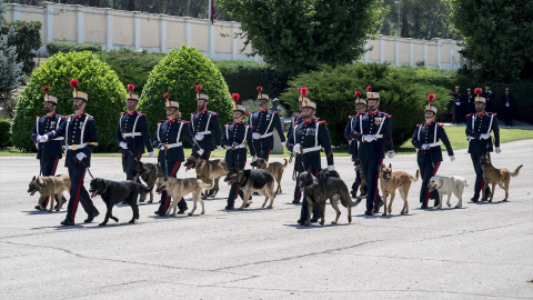 Militares de la unidad canina de la Guardia Real, durante un desfile.
