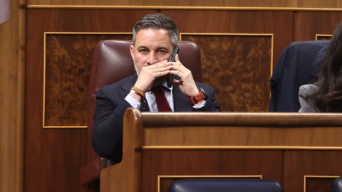 AbascalCongreso Imagen de archivo de Santiago Abascal en un pleno del Congreso de los Diputados en abril de 2026.
