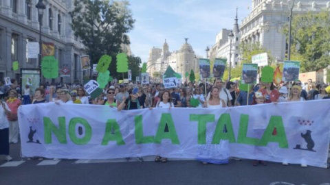 Fuera mordazas: necesitamos más activismo que nunca Fuera mordazas: necesitamos más activismo que nunca