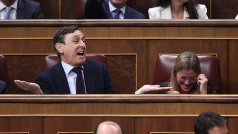 Imagen de archivo del diputado del PP Rafael Hernando gesticulando durante un pleno en el Congreso.