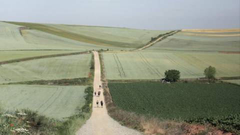 Peregrinos haciendo el Camiño de Santiago. Peregrinos haciendo el Camiño de Santiago.