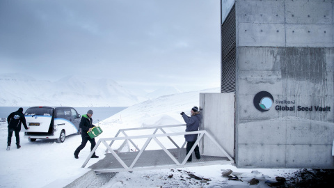 Llegada de una caja con semillas procedentes de Japón y Estados Unidos al Depósito Mundial de Semillas de Svalbard (SGSV). Llegada de una caja con semillas procedentes de Japón y Estados Unidos al Depósito Mundial de Semillas de Svalbard (SGSV).