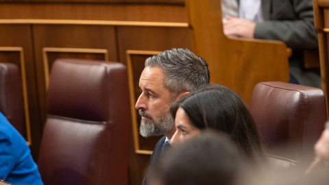 l presidente de Vox, Santiago Abascal, este jueves en el Congreso de los Diputados. l presidente de Vox, Santiago Abascal, este jueves en el Congreso de los Diputados.