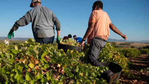 Tensión en el vino de Ciudad Real a las puertas de Fenavin Match al estallar el conflicto por el convenio