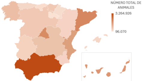 Número de animales de compañía por comunidad autónoma.