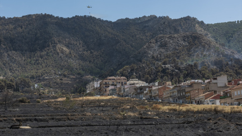 Zonas calcinadas por el incendio en Los Garres (Murcia)