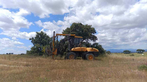 Ecologistas exigen paralizar la macroplanta fotovoltaica de Toledo por el riesgo "evidente" para especies protegidas Ecologistas exigen paralizar la macroplanta fotovoltaica de Toledo por el riesgo "evidente" para especies protegidas
