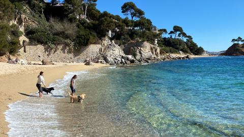 Dues noies amb els seus gossos en una platja empordanesa Dues noies amb els seus gossos en una platja empordanesa