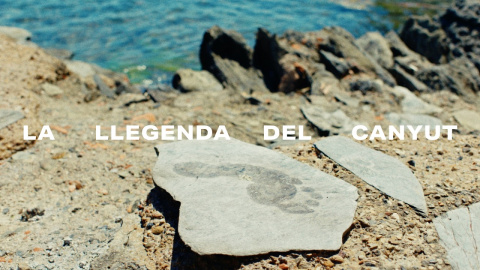 La llegenda del Canyut I Estrella Damm 2026 150 estius estimant la nostra manera de viure.
Amb la col·laboració d’Álvaro Cervantes, la Laia Costa, l’Oriol Pla, el Santi Balmes, la Jessica Goicoechea, la Lily Rowland, l’Iria del Río, el Rels B, l’Àngela Mármol, la Mireia Oriol, el Marc Cucurella, la Paula Malia, l’Eric Garcia, la Claudia Pina, el Jordi Roca, la Mushka, la Greta i el Nil Ojeda.
BSO: “Wouldn’t it be nice” - The Beach Boys