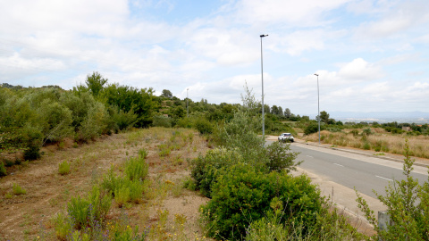 Parcel·les on es vol instal·lar la planta de Valogreen Parcel·les on es vol instal·lar la planta de Valogreen