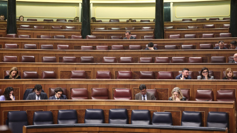Imagen de archivo del Congreso de los Diputados durante una sesión de control al Gobierno, en el Congreso de los Diputados.