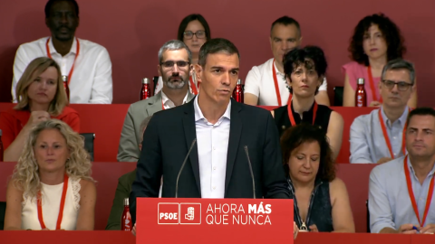 Sigue aquí la intervención de Pedro Sánchez en el Comité Federal | Público