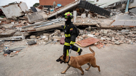 Un rescatista colombiano junto a su perro realiza labores de búsqueda de personas desaparecidas en una zona afectada por los terremotos, en Catia La Mar (Venezuela).