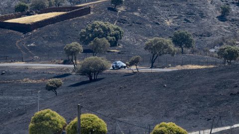 El incendio forestal declarado en la pedanía de Huertezuelas, en el término municipal de Calzada de Calatrava (Ciudad Real). El incendio forestal declarado en la pedanía de Huertezuelas, en el término municipal de Calzada de Calatrava (Ciudad Real)