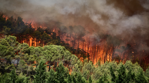 incendios-españa Vista del incendio forestal de Imárcoain en Imárcoain, Valle de Elorz, Navarra (España).