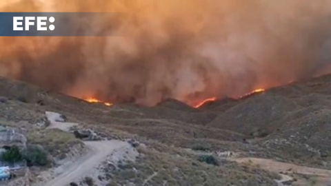 Once muertos y ocho heridos en el incendio de Almería, que ya ha arrasado 3.150 hectáreas Once muertos y ocho heridos en el incendio de Almería, que ya ha arrasado 3.150 hectáreas