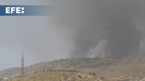 Continúan las labores de extinción del incendio de Almería