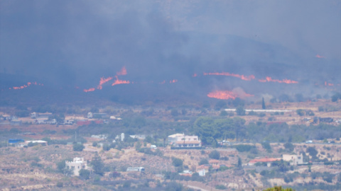 Imagen del incendio forestal declarado en la zona de los Gallardos, a 10 de julio de 2026. Imagen del incendio forestal declarado en la zona de los Gallardos, a 10 de julio de 2026.