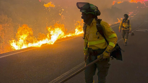 Bomberos trabajan en el incendio del municipio almeriense de Los Gallardos.