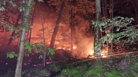Incendio en el Bosque de Fontainebleau, a 60 kilómetros de París.