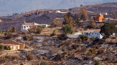 Imágenes de la zona afectada por el incendio de Los Gallardos, Almería. Imágenes de la zona afectada por el incendio de Los Gallardos, Almería.