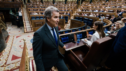 El presidente del Partido Popular, Alberto Nuñez Feijóo. El presidente del Partido Popular, Alberto Nuñez Feijóo.