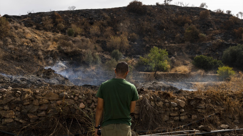 Zonas afectadas por el incendio forestal de Los Gallardos (Almería).
