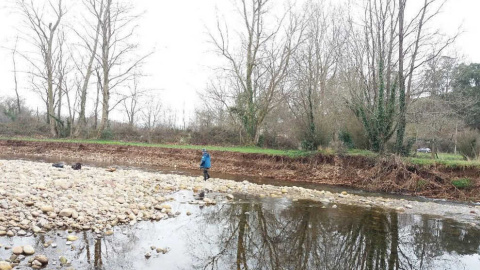 Alarma medioambiental en Cantabria: Investigan la aparición de peces muertos en el río Pisueña Alarma medioambiental en Cantabria: Investigan la aparición de peces muertos en el río Pisueña