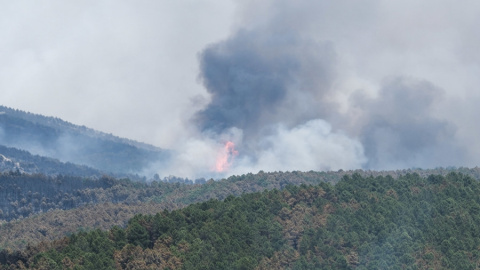 El incendio de La Mierla, este sábado 18 de julio. El incendio de La Mierla, este sábado 18 de julio.