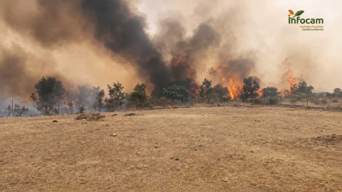 Carrera contrarreloj en las parameras de Atienza para montar el cortafuegos que contenga el incendio Carrera contrarreloj en las parameras de Atienza para montar el cortafuegos que contenga el incendio