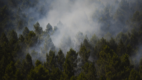 incendio-foresta Superficie forestal quemada durante el incendio forestal en Muriel.
