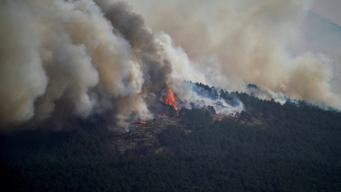 El humo asciende en el incendio de La Mierla en Condemios de Arriba, Guadalajara, a 22 de julio de 2026. El humo asciende en el incendio de La Mierla en Condemios de Arriba, Guadalajara, a 22 de julio de 2026.
